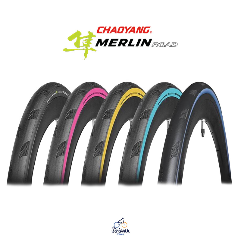 CHAOYANG : MERLIN ROAD